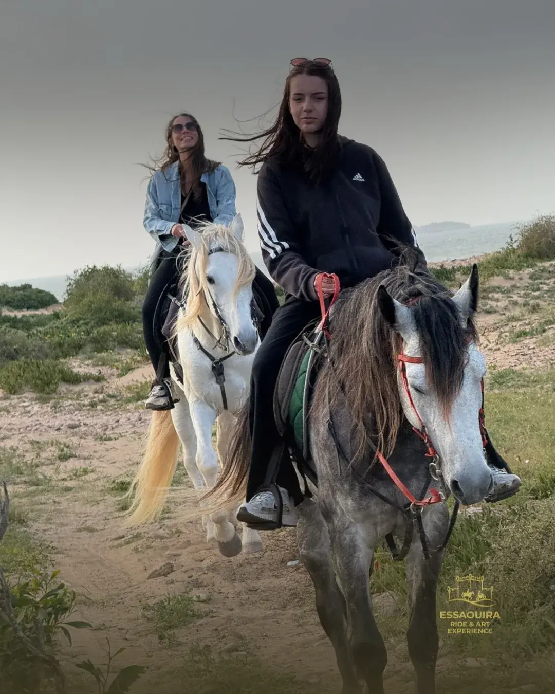 Coucher de soleil et chevaux