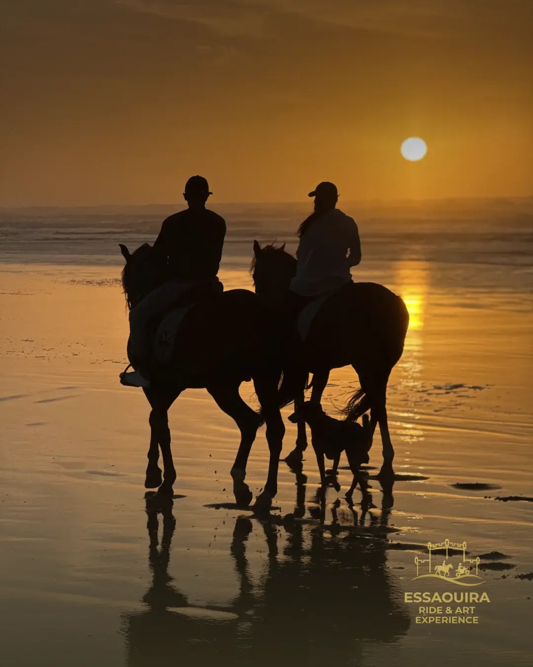 Cavalier galopant sur la plage d'Essaouira au coucher du soleil